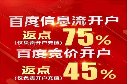 成功案例：如何通过百度推广优化提高转化率